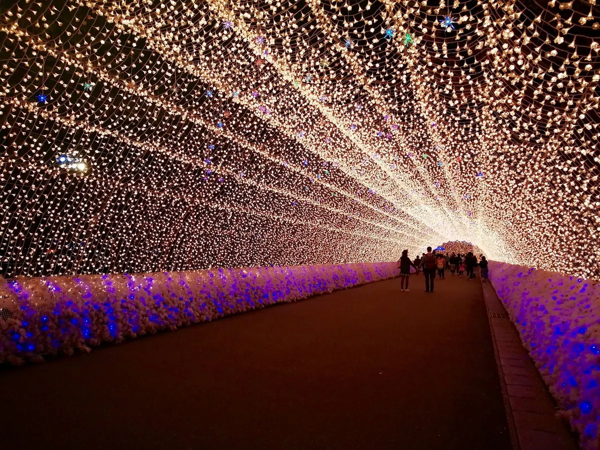 Mesa Christmas Lights Switch-On: What to Expect and Where to Stand