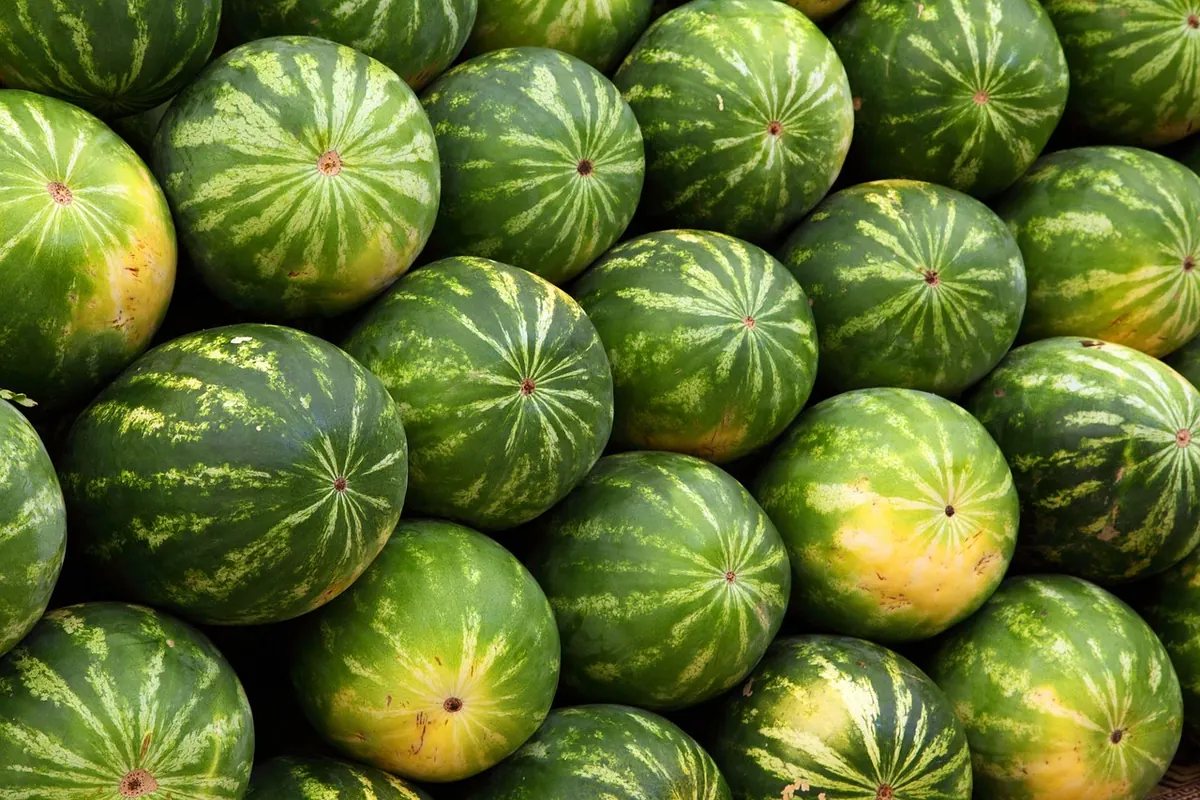 Mesa Farmers' Market: A Beginner's Guide to Shopping Local on a Budget